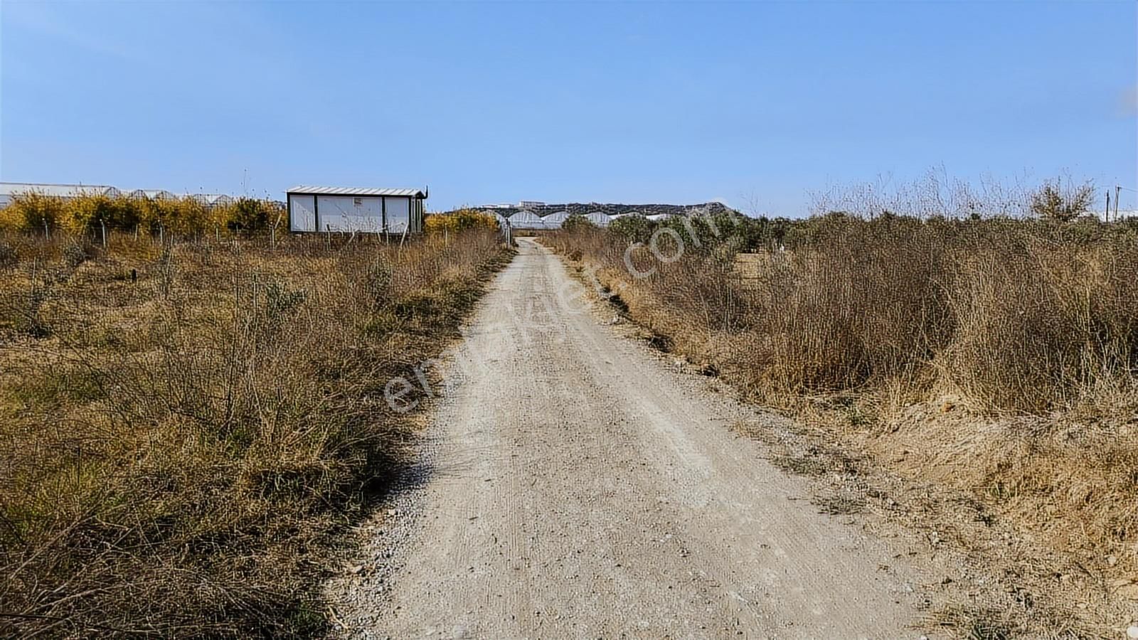Manavgat Yeniköy Merkezde 4115m2 Satılık Tarla - Görsel 11
