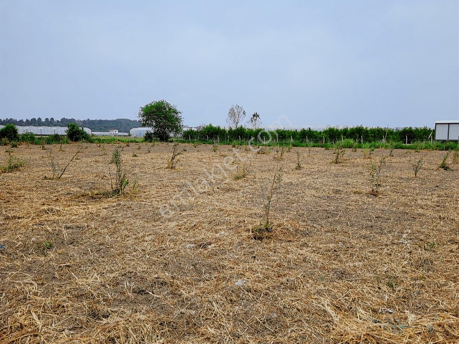 Manavgat Yeniköy Merkezde 4115m2 Satılık Tarla - Görsel 14