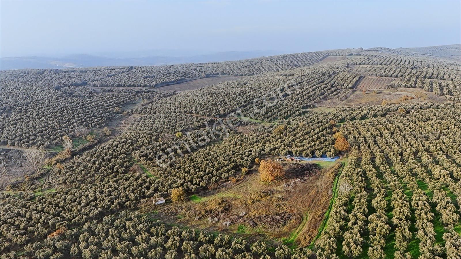 Gelişen Bölgede 4.280 M² Kaçırılmayacak Yatırım Fırsatı - Görsel 9