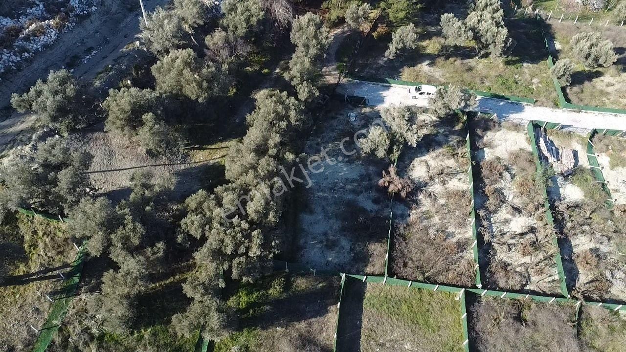 Namlı' Dan Batı Çıkışı Misartan Bölme Hisse Tapulu 280m2 Tarla - Görsel 5