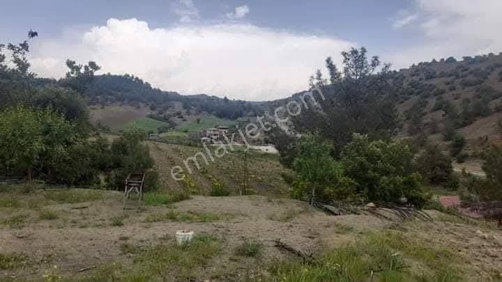 Mrs Gayrimenkul Dan Satılık Zeytinlik - Görsel 10