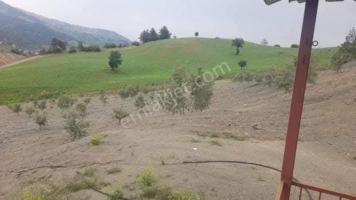 Mrs Gayrimenkul Dan Satılık Zeytinlik - Görsel 7