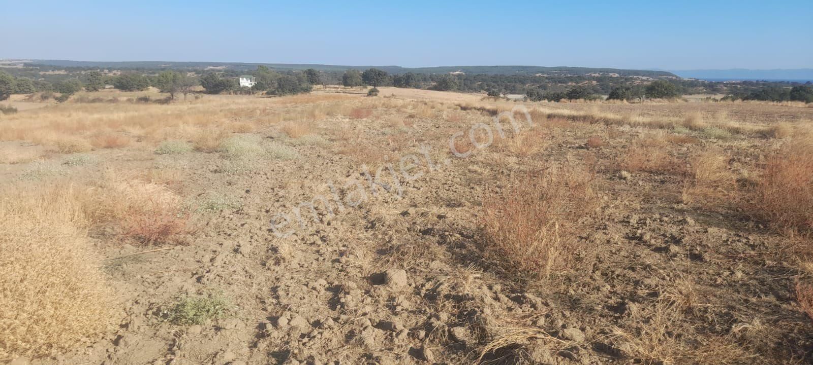 Vakıf Köyünde Satılık Kooperatif Yerleri!!!! - Görsel 6