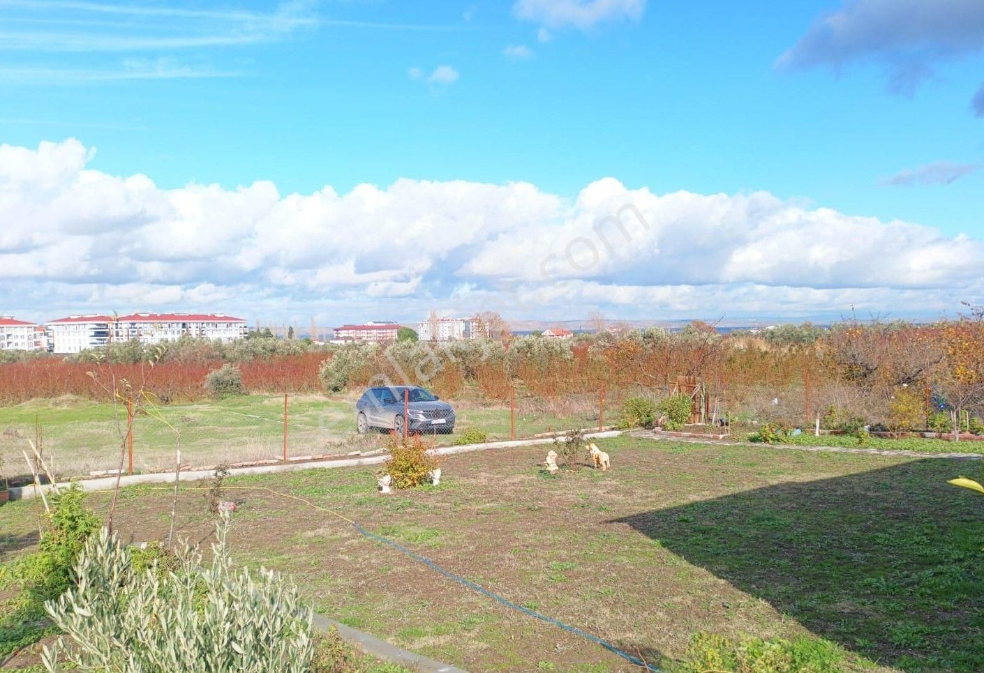 Çanakkale Lapseki Çardak Satılık 214 M2 İmarlı Arsa - Görsel 6