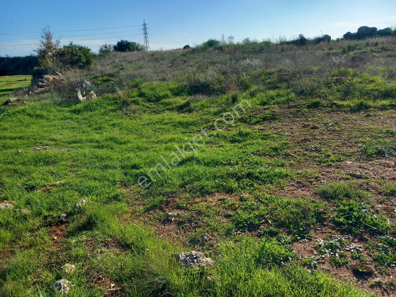 Talha Tozduman'dan Antalya Aksu Çamköyde 2067m Süper Mstkl Tarla - Görsel 3