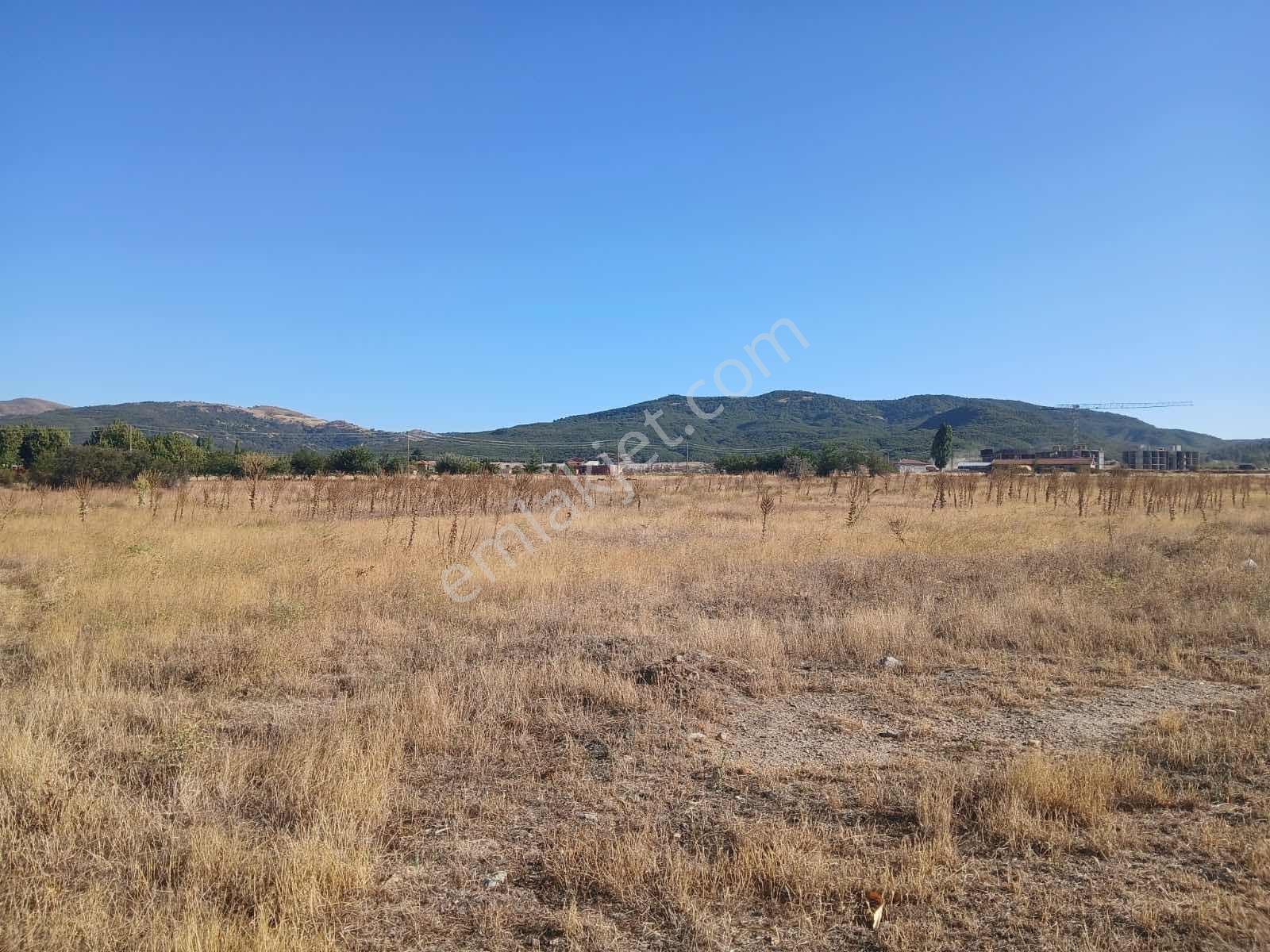 Duru Group'dan Sinanpaşa Ahmetpaşa Da Satılık 2396 M2 Arsa ! - Görsel 5