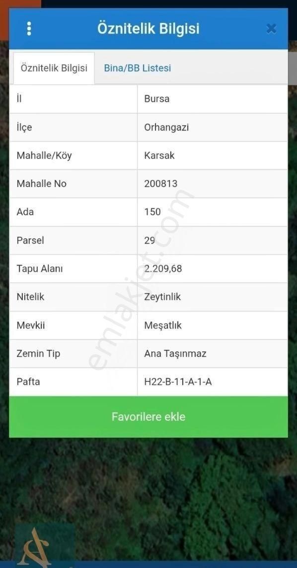 Orhangazi Karsakta Kaçırılmayacak Fırsat Zeytinlik - Görsel 2