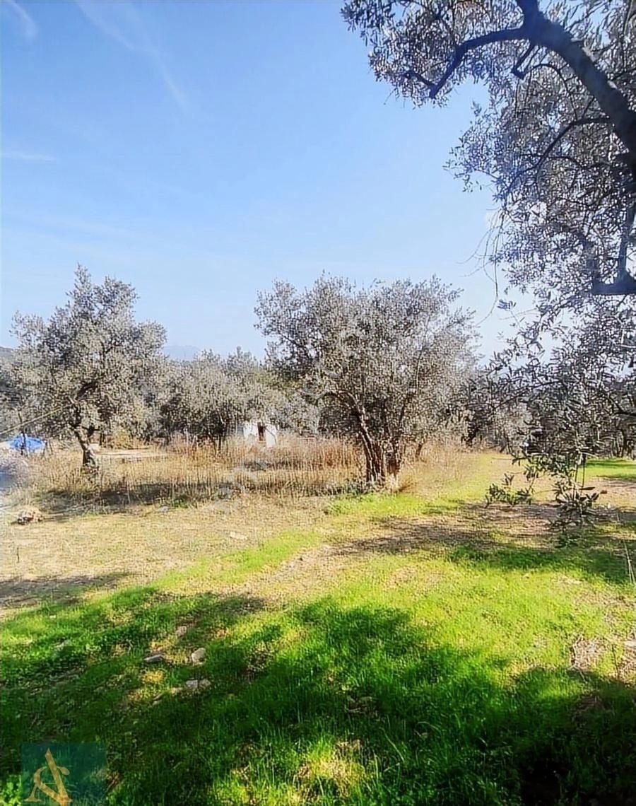 İsmetiyede Satılık Hobi Bahçesi, Yatırımlık Tarla