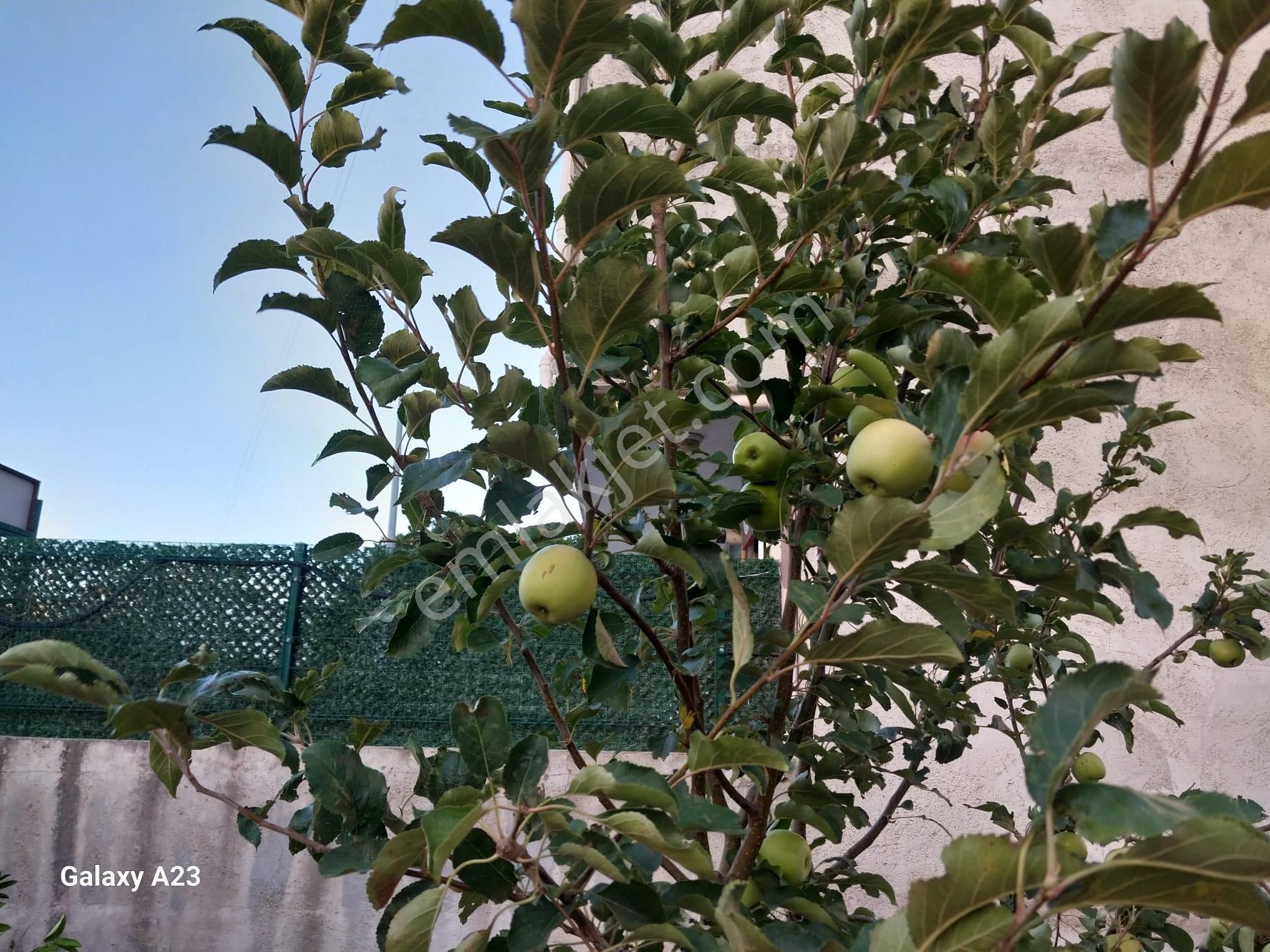 Yunuselin De Satılık İmarlı Arsa - Görsel 12