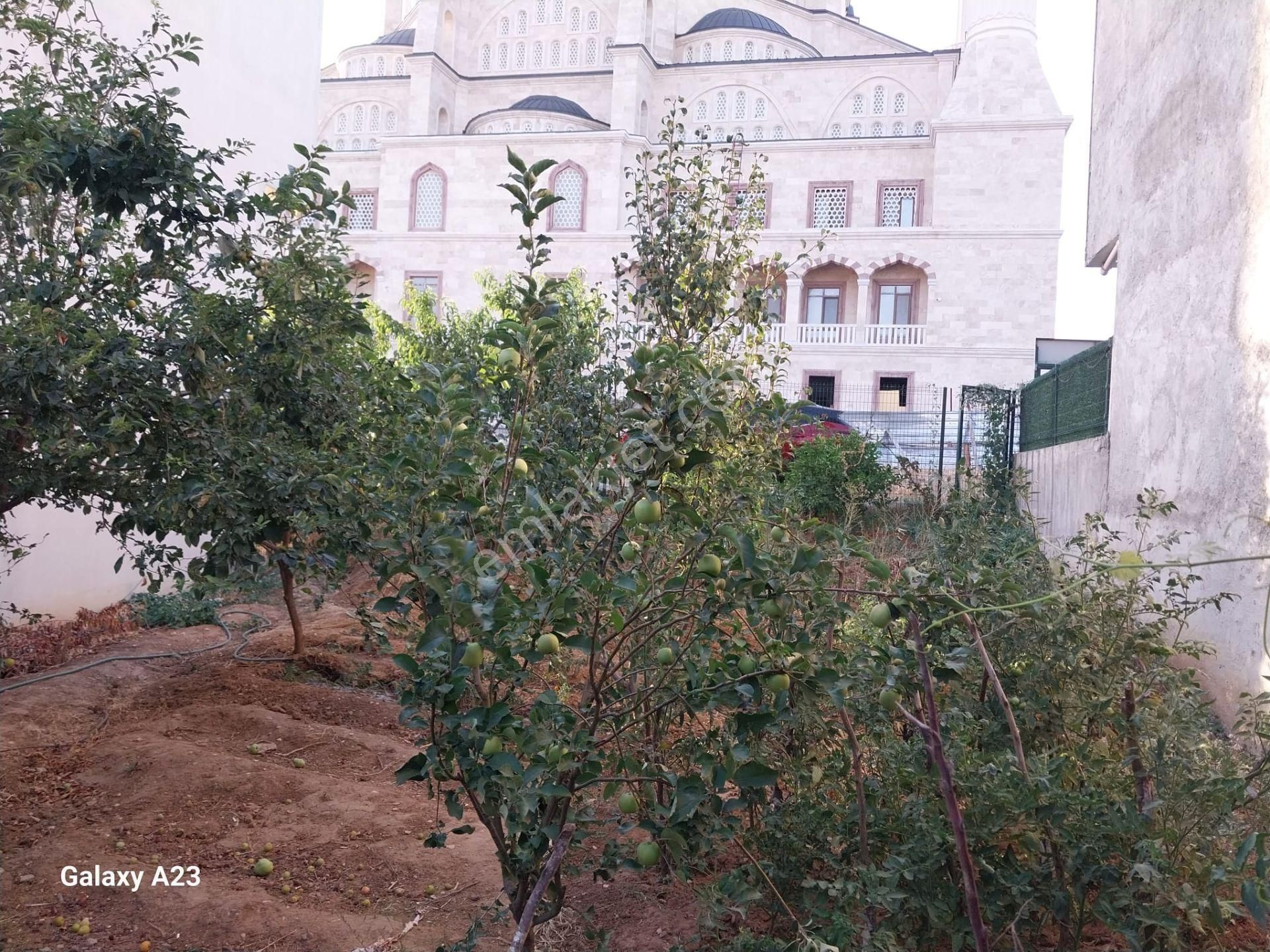 Yunuselin De Satılık İmarlı Arsa - Görsel 9