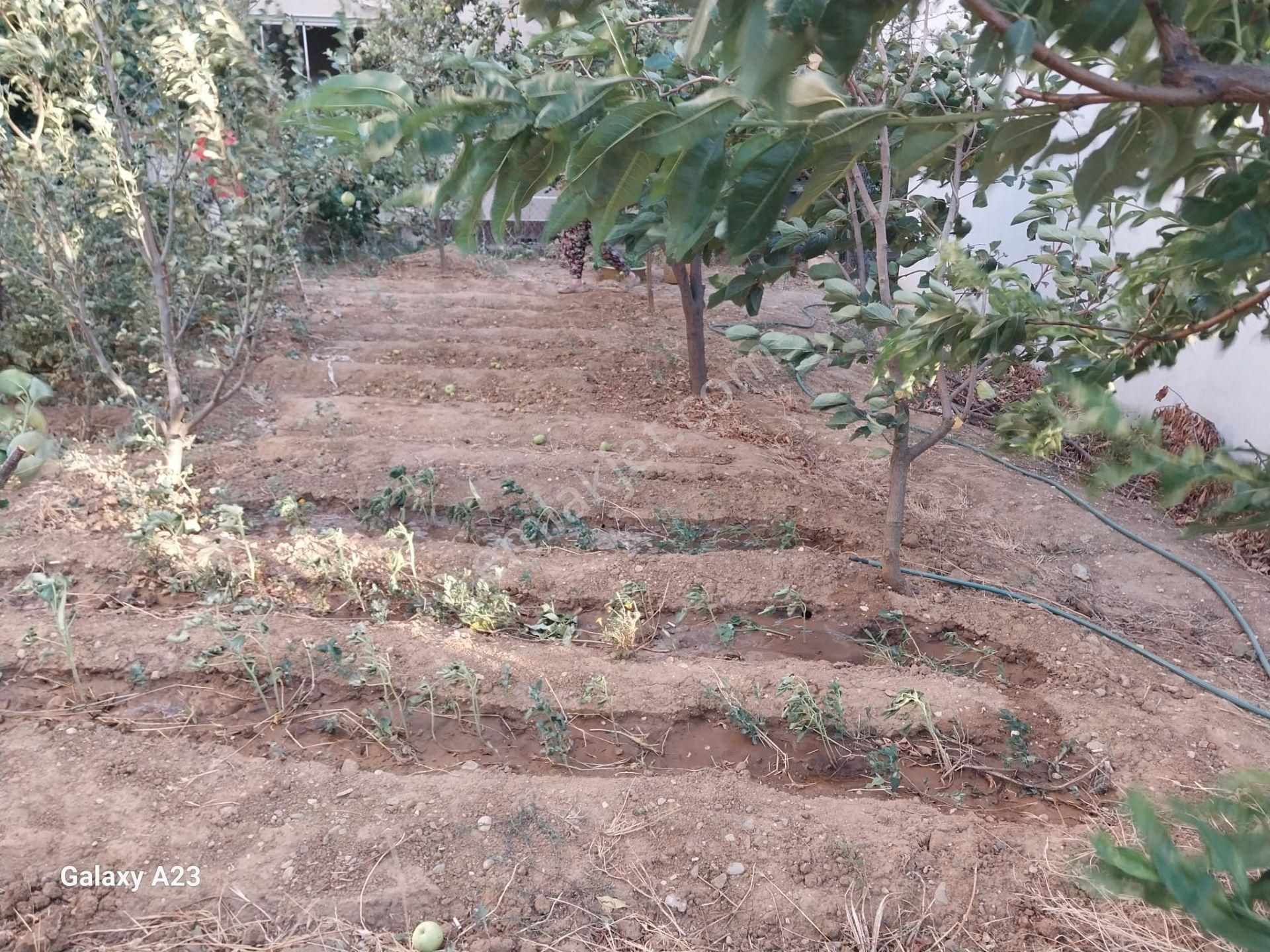 Yunuselin De Satılık İmarlı Arsa - Görsel 13