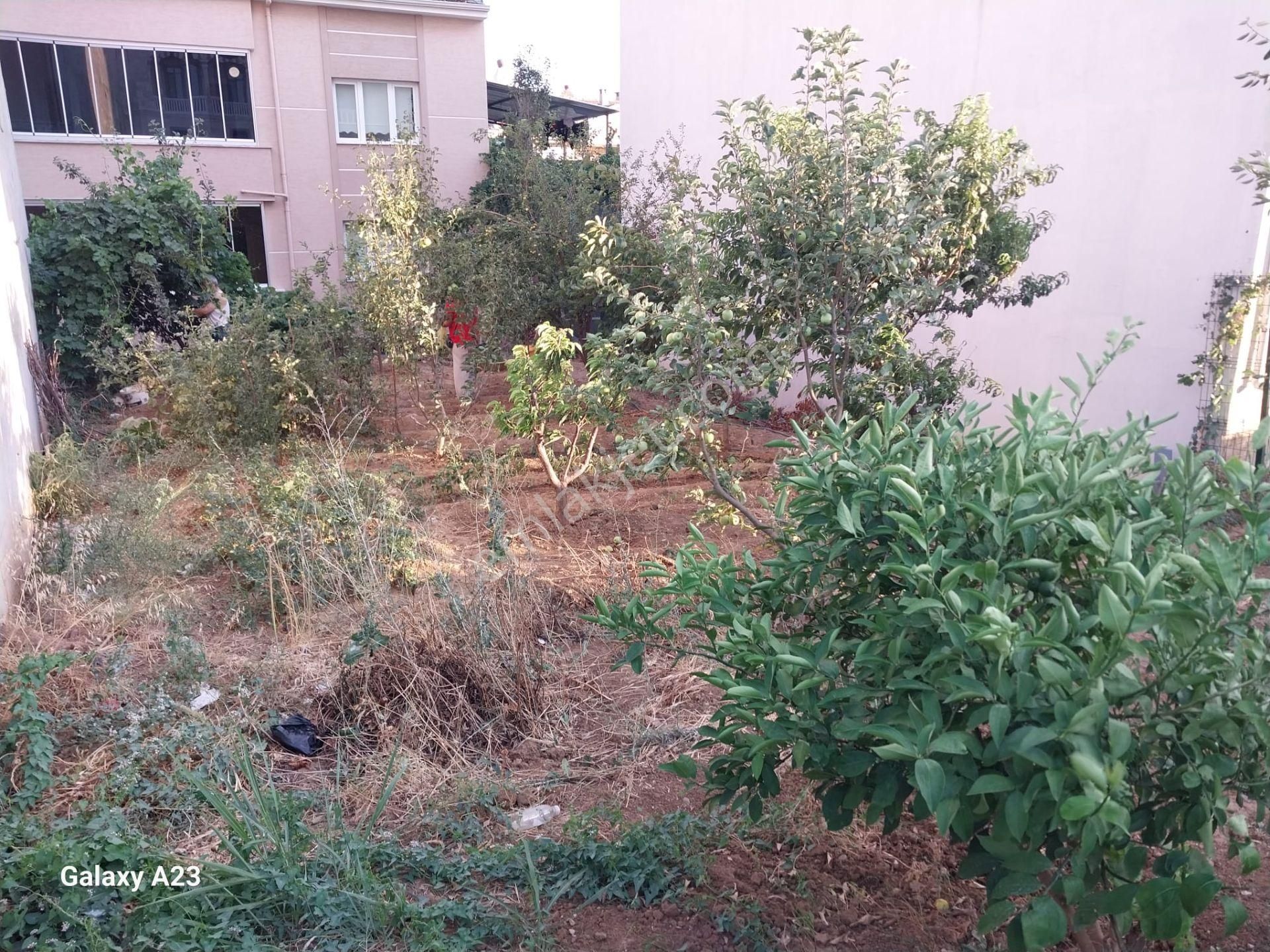 Yunuselin De Satılık İmarlı Arsa - Görsel 11