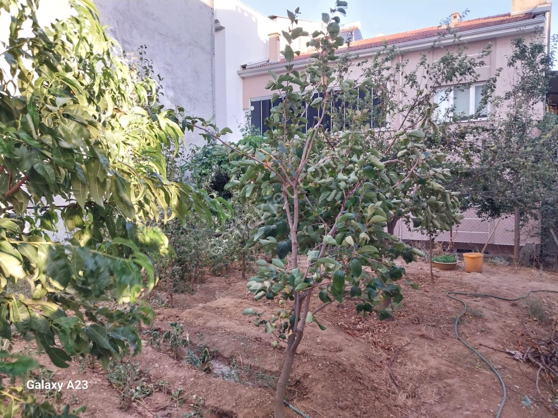 Yunuselin De Satılık İmarlı Arsa - Görsel 8