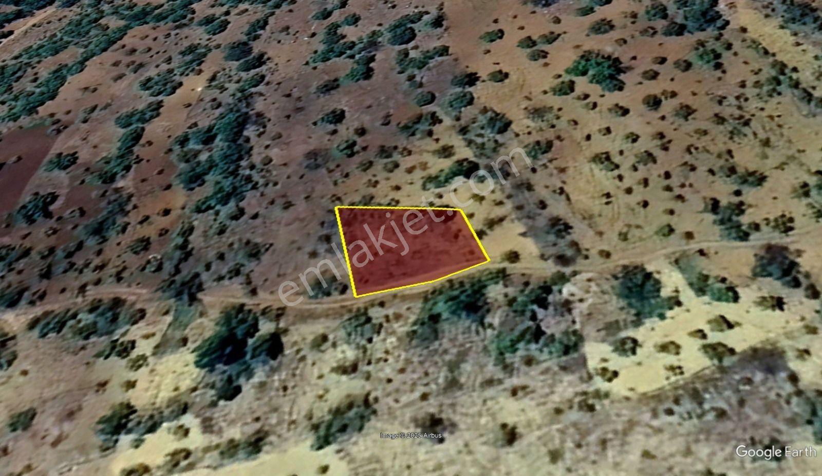 Konya / Güneysınır / Kızılöz Mahallesinde 415 M² Müstakil Tapulu Bahçe