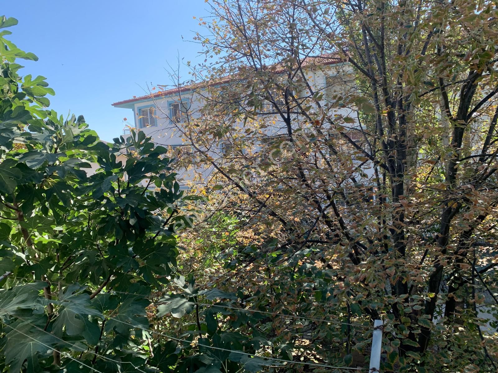 Gemlik Bölge Parkı Karşısında Önü Full Açık Ve Önü Asla Kapanmaz Full Manzaralı Ara Kat Daire. - Görsel 5