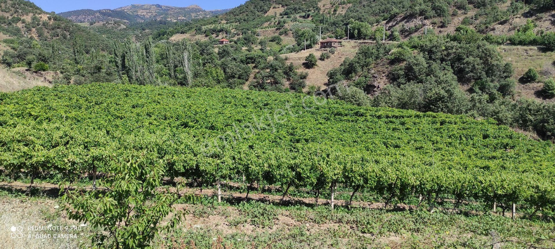 Yolu Suyu Olan Yatırımlık Bahce - Görsel 13