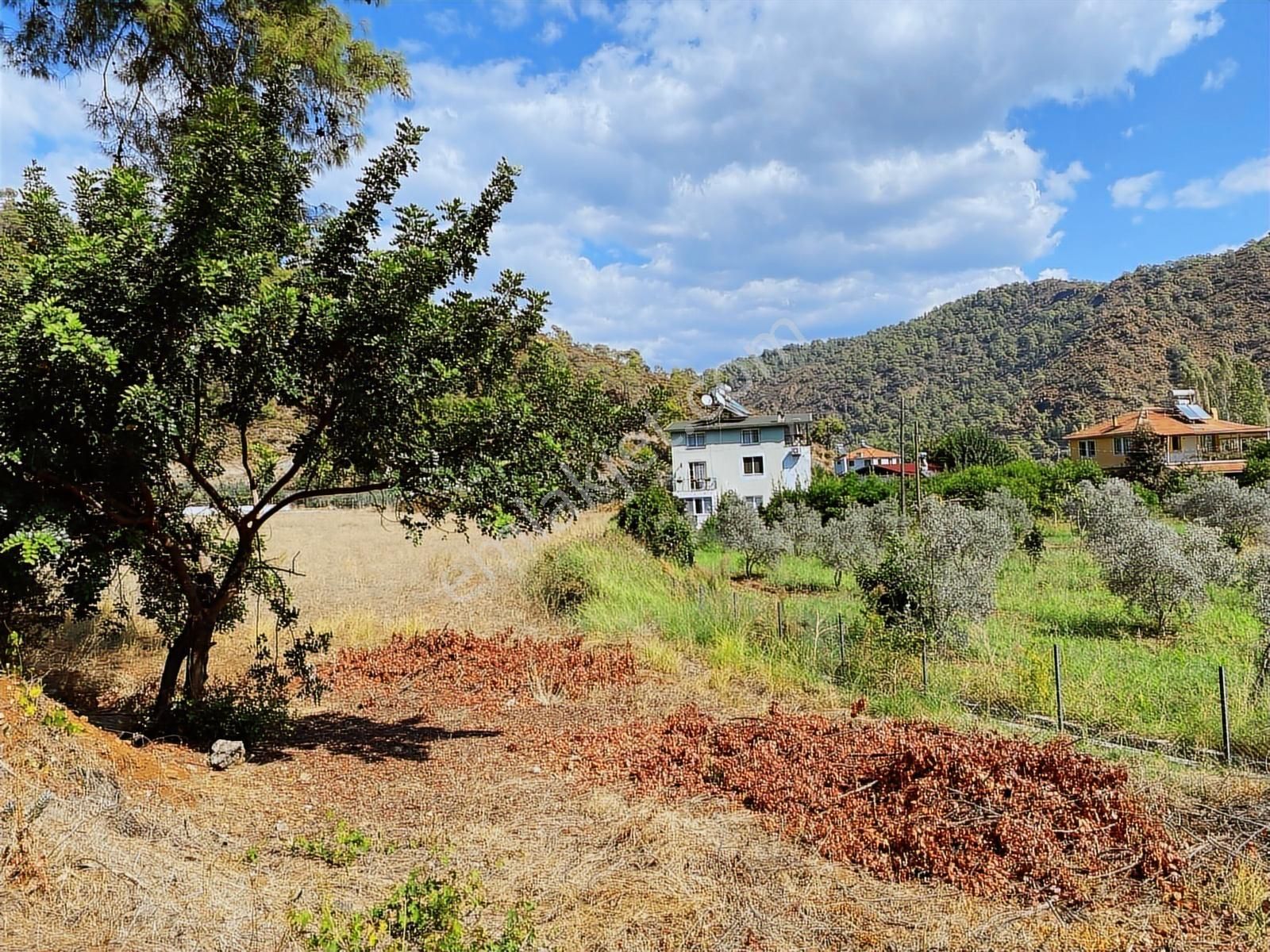 Bölgedeki En Uygun Fiyatlı Üstelik Müstakil Arazisi - Görsel 4