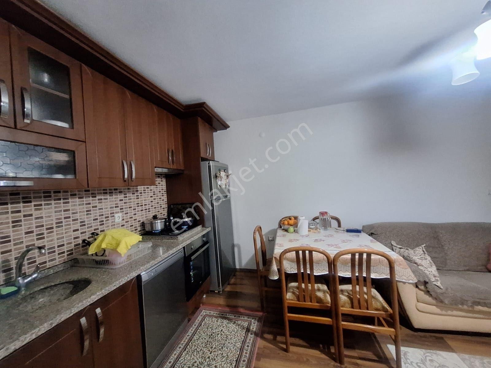 Kabakum Köyü İçerisinde Satılık 12139 M2 Zeytinlik İççiftlik Evi - Görsel 14