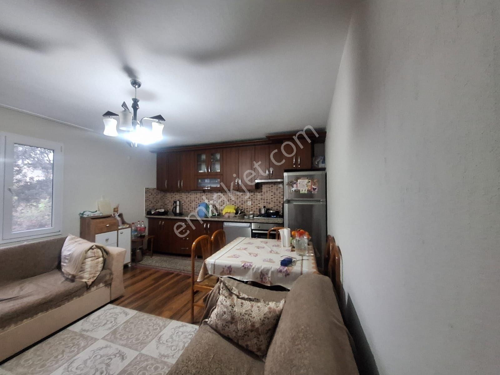 Kabakum Köyü İçerisinde Satılık 12139 M2 Zeytinlik İççiftlik Evi - Görsel 11