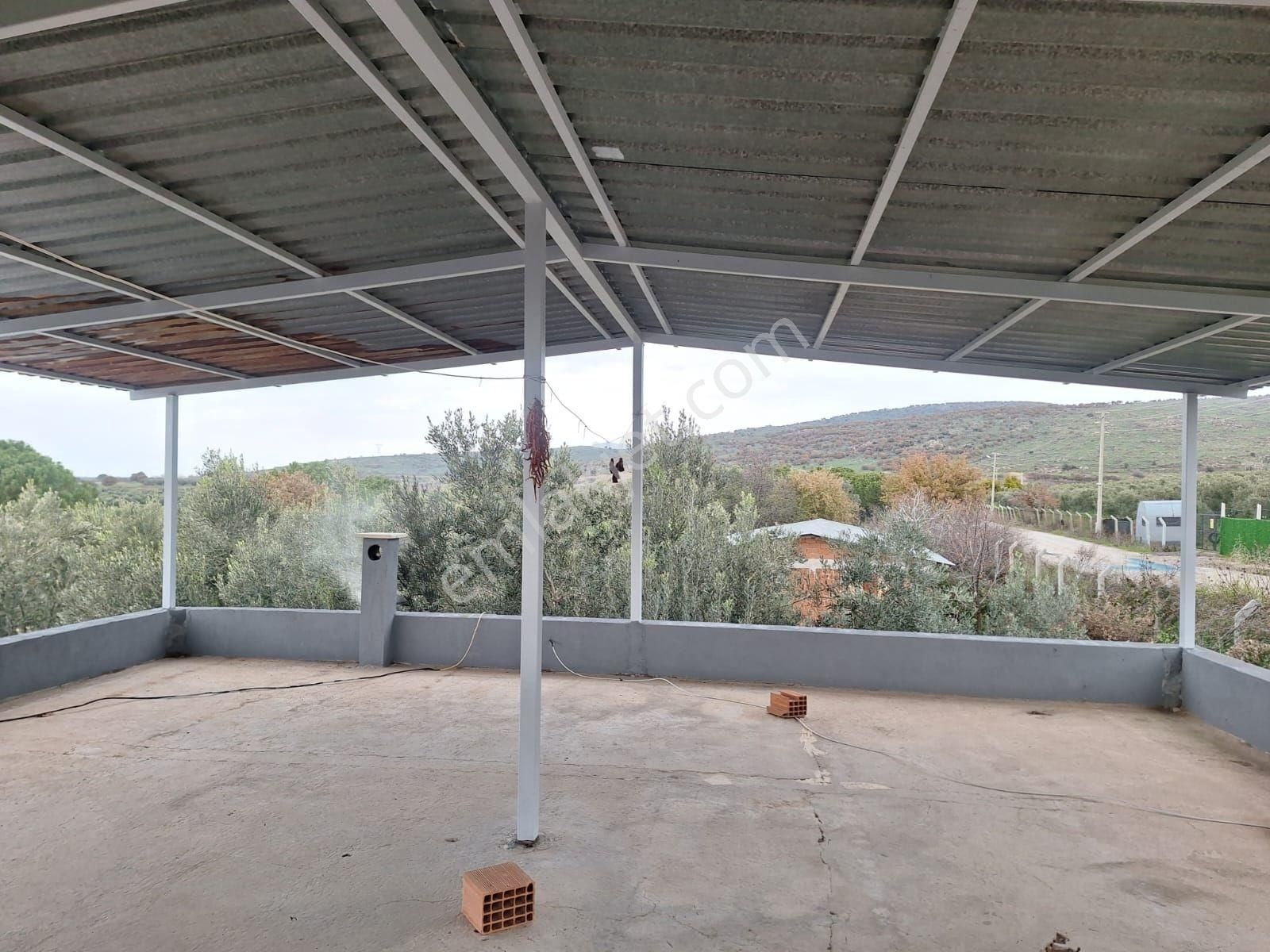 Kabakum Köyü İçerisinde Satılık 12139 M2 Zeytinlik İççiftlik Evi - Görsel 20