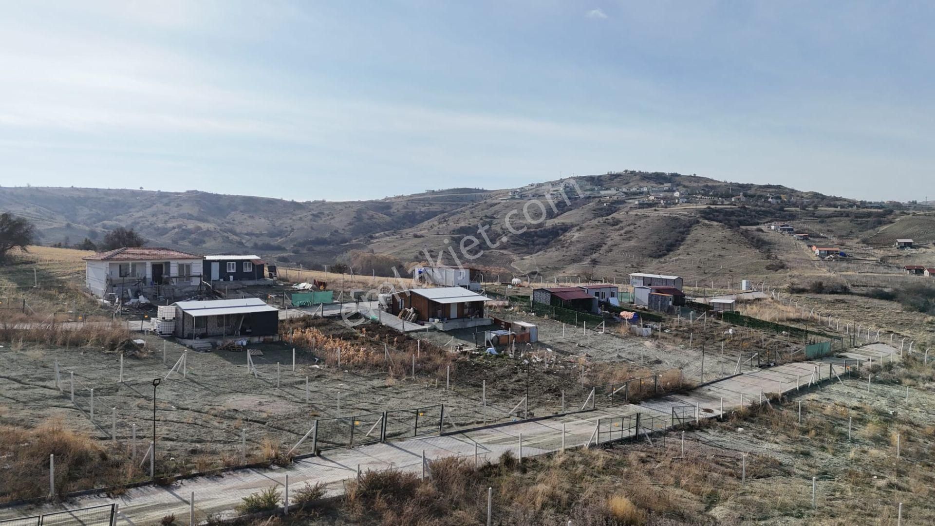 Bağlum Merkeze 9 Km Son 1 Adet Fırsat Bahçesi - Görsel 7