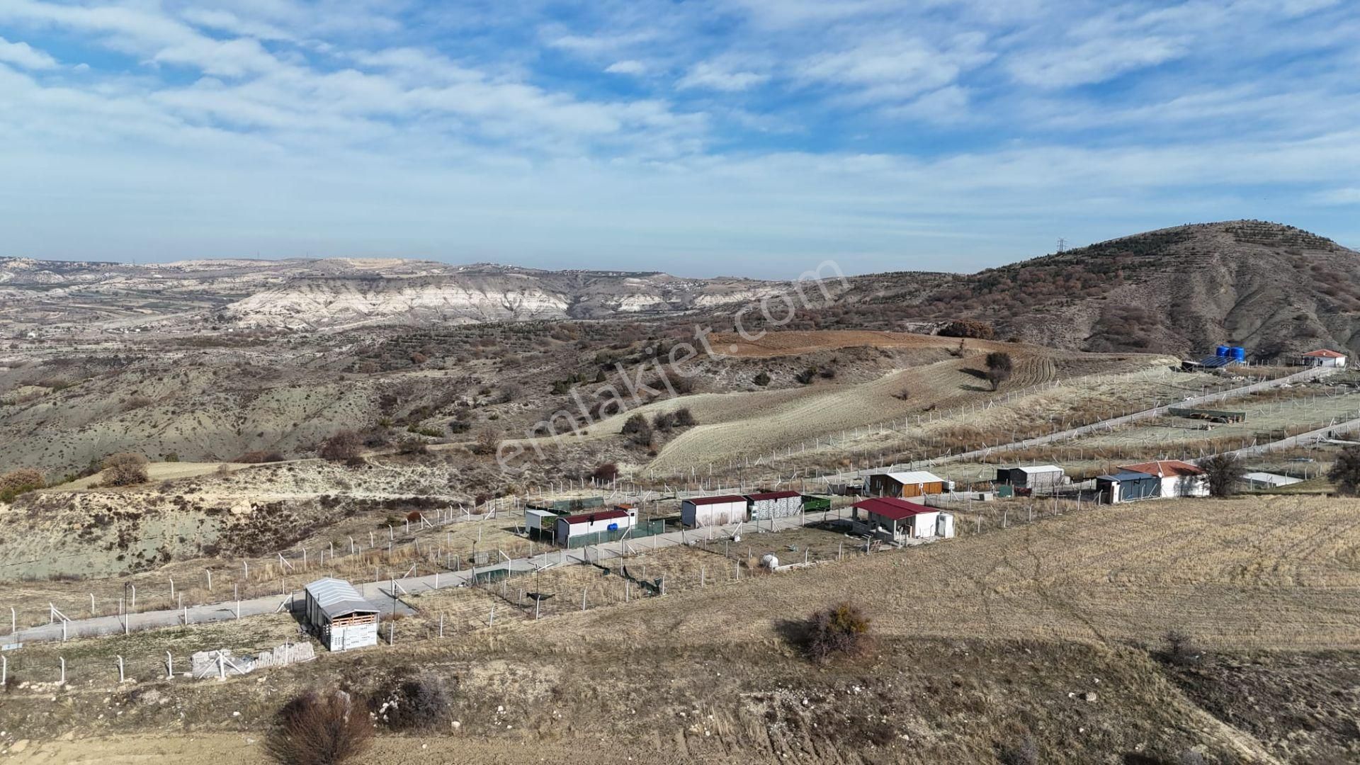 Bağlum Merkeze 9 Km Son 1 Adet Fırsat Bahçesi - Görsel 4