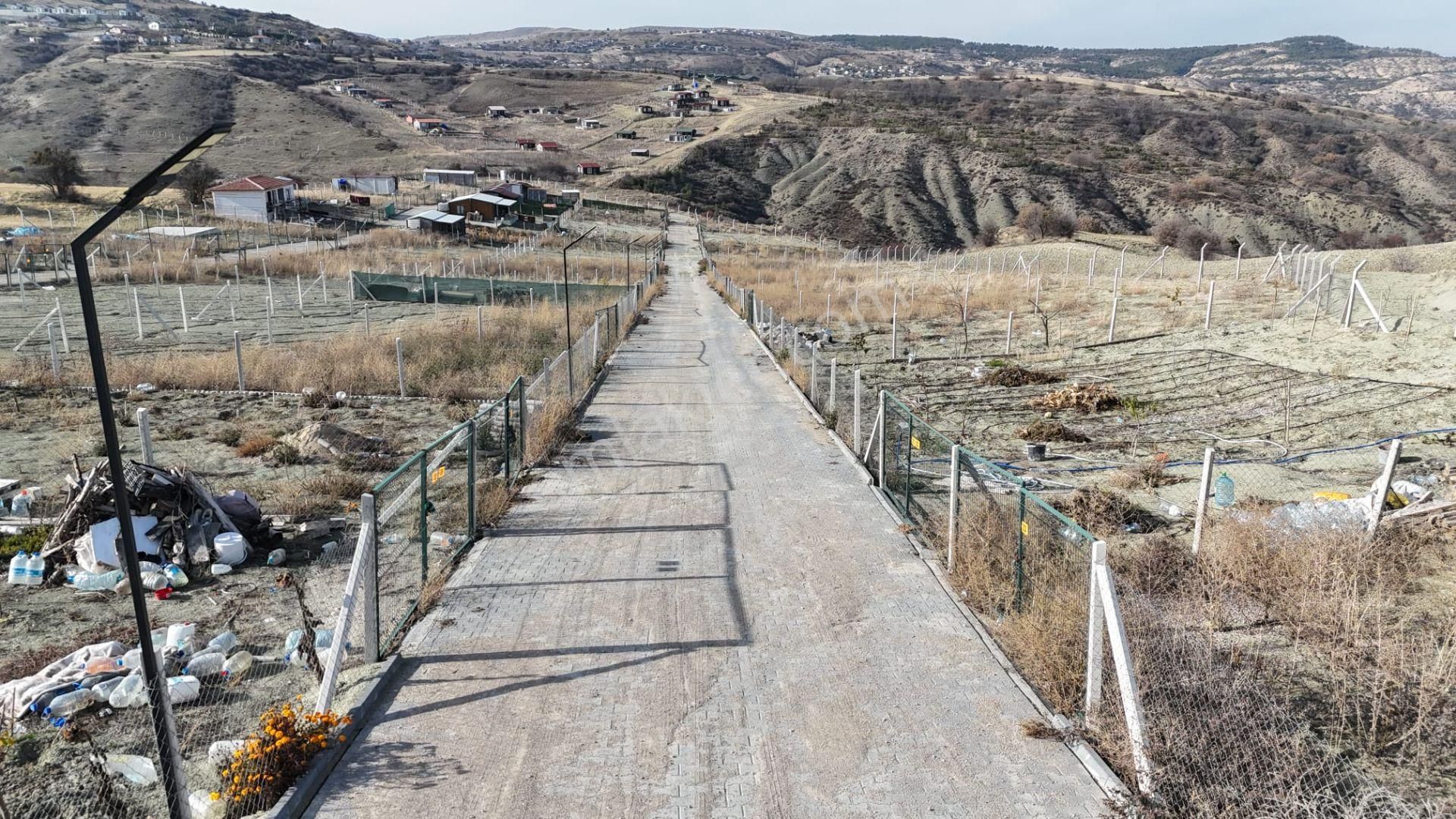 Bağlum Merkeze 9 Km Son 1 Adet Fırsat Bahçesi - Görsel 10