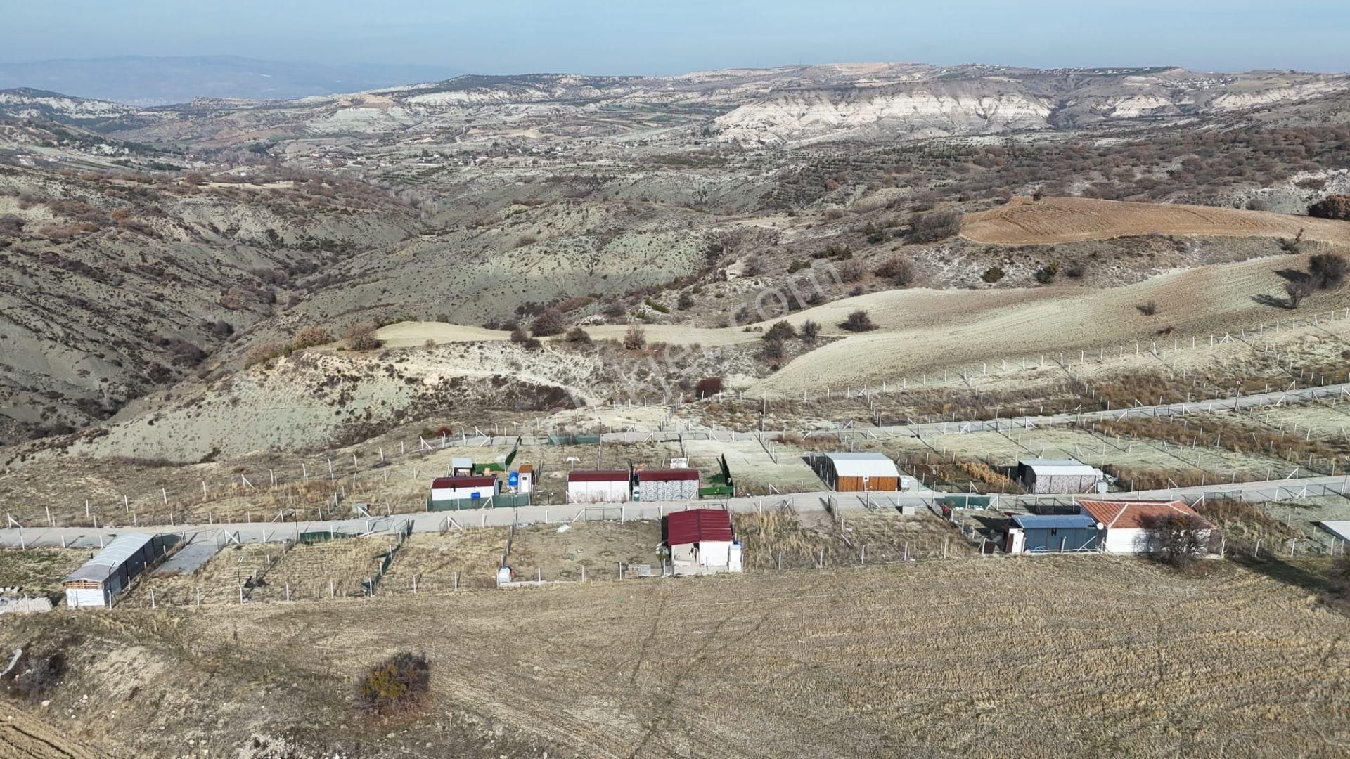 Bağlum Merkeze 9 Km Son 1 Adet Fırsat Bahçesi - Görsel 3