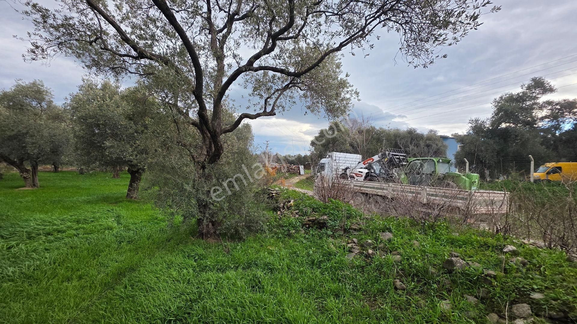 Ali Akdoğan Emlak Ofisinden Satılıktır - Görsel 16