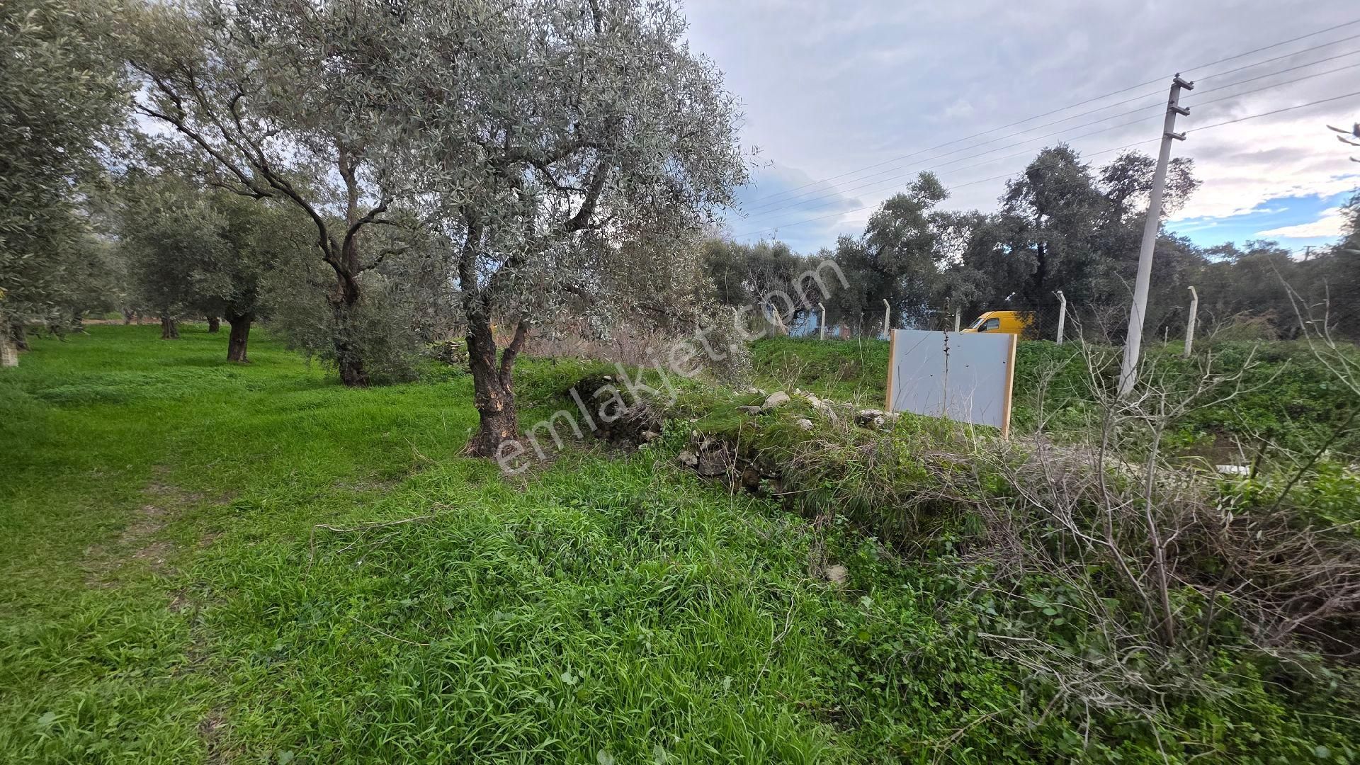 Ali Akdoğan Emlak Ofisinden Satılıktır - Görsel 10