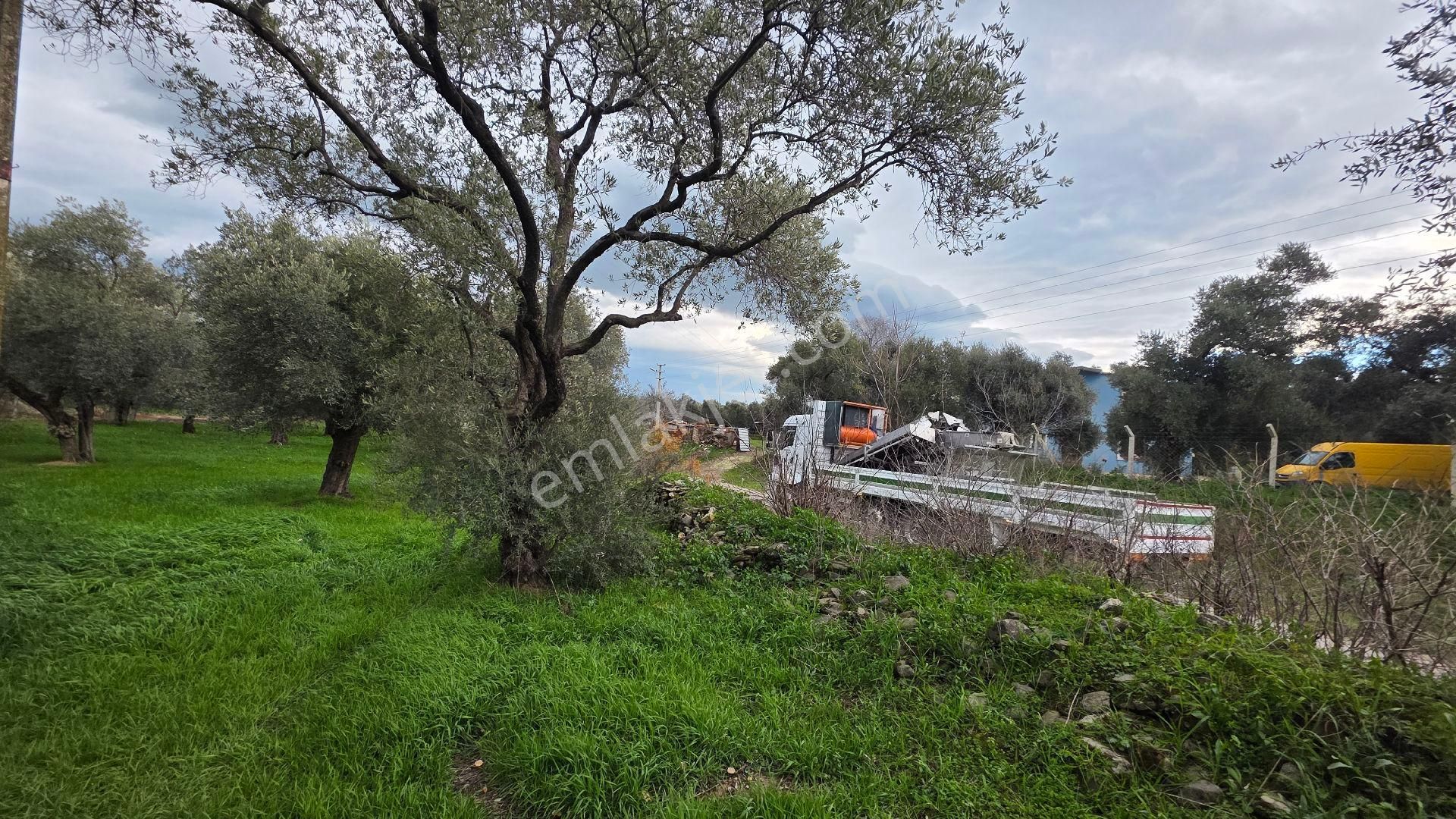 Ali Akdoğan Emlak Ofisinden Satılıktır - Görsel 14