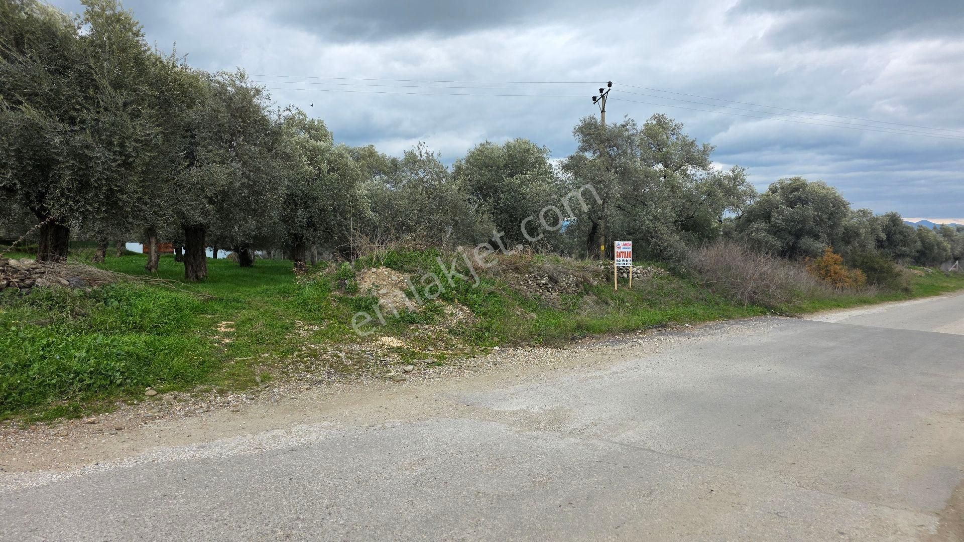 Ali Akdoğan Emlak Ofisinden Satılıktır - Görsel 5