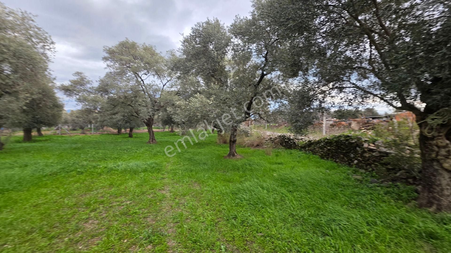 Ali Akdoğan Emlak Ofisinden Satılıktır - Görsel 25