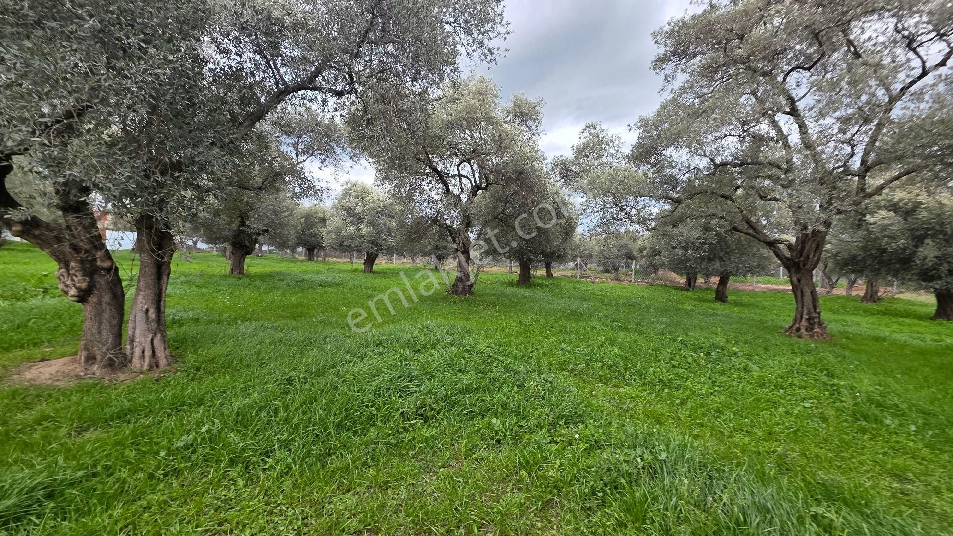 Ali Akdoğan Emlak Ofisinden Satılıktır - Görsel 24