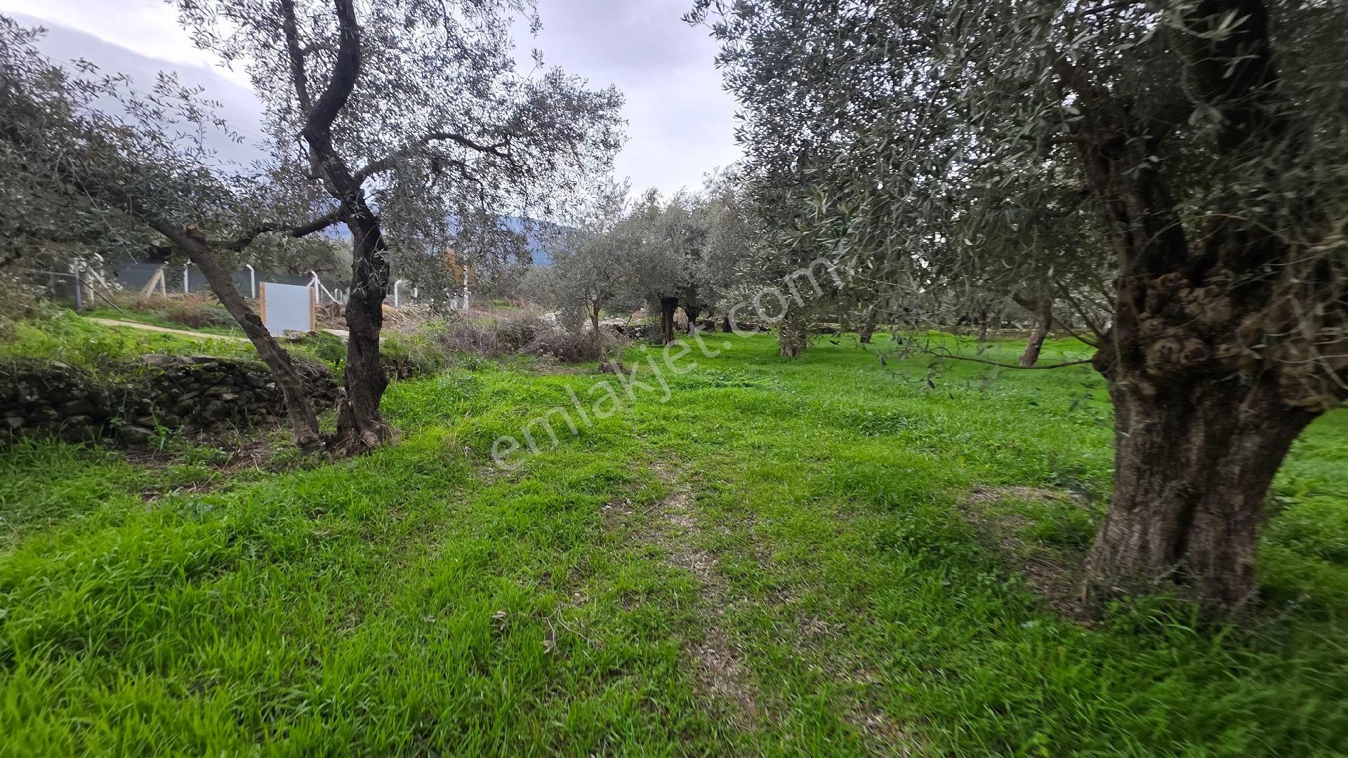 Ali Akdoğan Emlak Ofisinden Satılıktır - Görsel 30