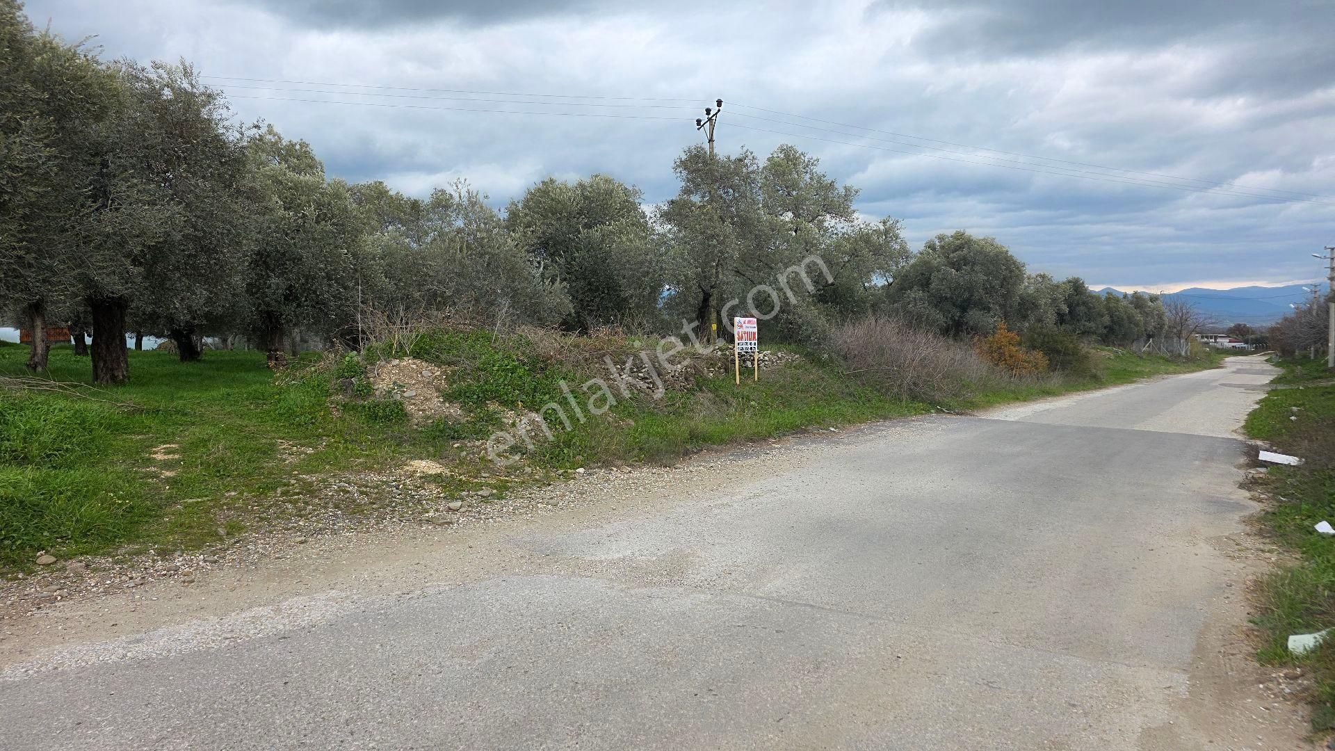 Ali Akdoğan Emlak Ofisinden Satılıktır - Görsel 2