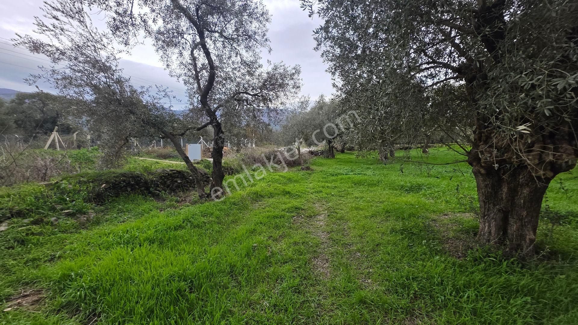 Ali Akdoğan Emlak Ofisinden Satılıktır - Görsel 20