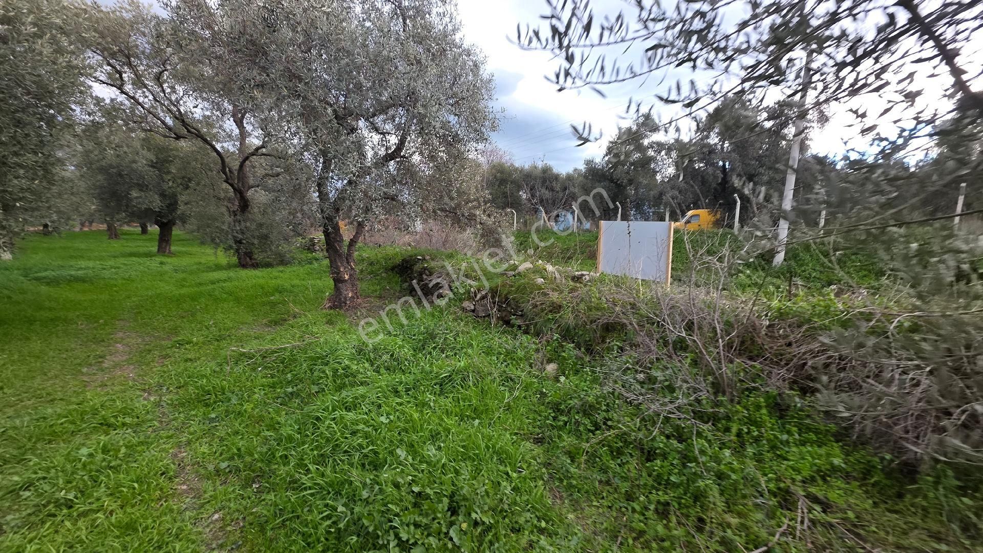 Ali Akdoğan Emlak Ofisinden Satılıktır - Görsel 11