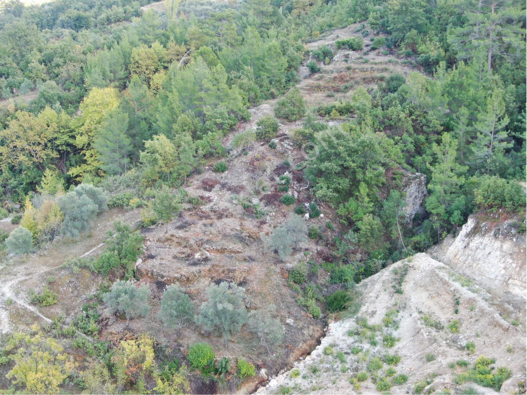 Alanya Türktaş Mah. Kupon Satılık 1.470 M2 Tarla - Görsel 2