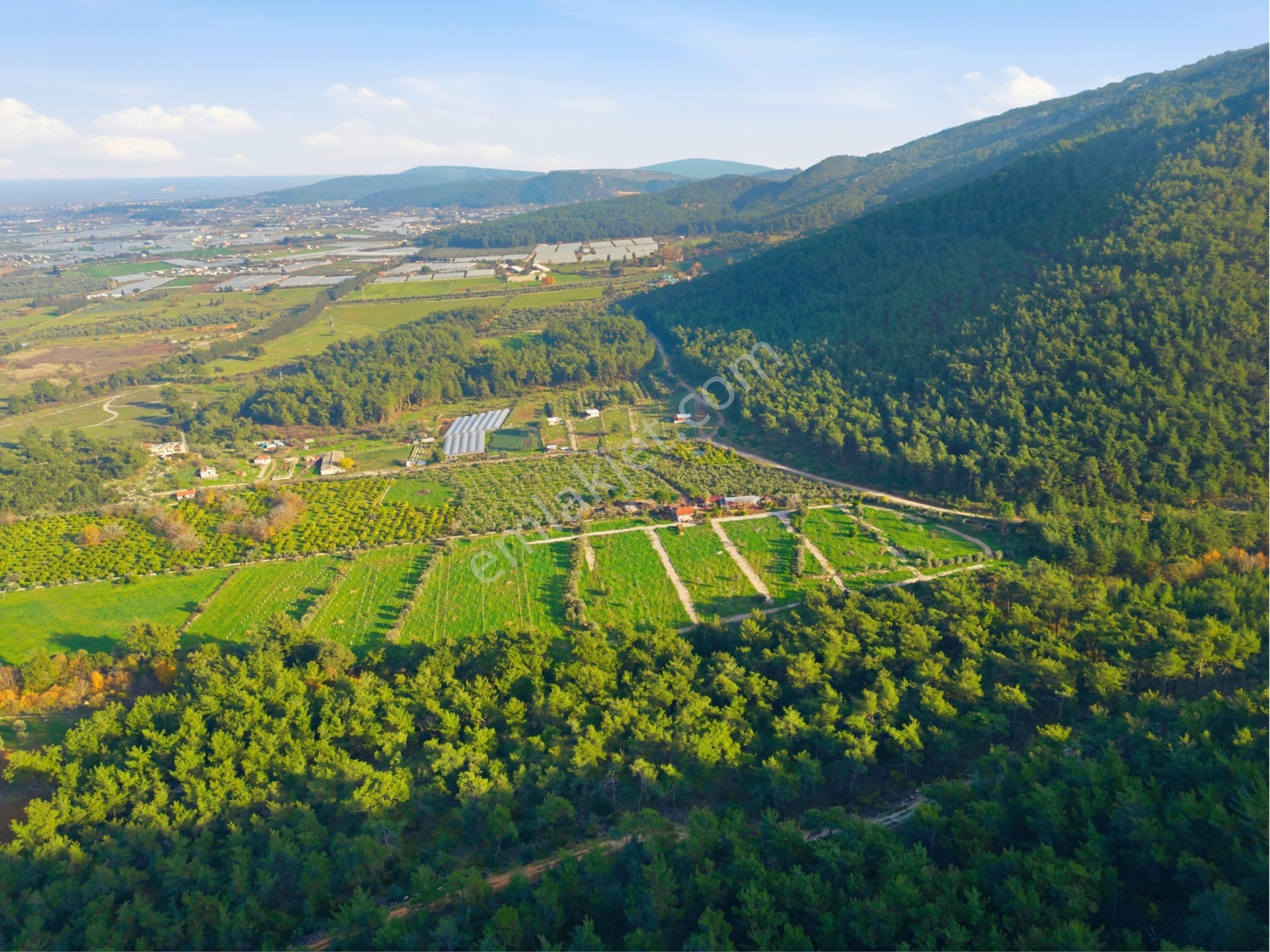 Bal Gayrimenkul I Menderes Değirmendere'de Hayallerinle Tanış ! - Görsel 21