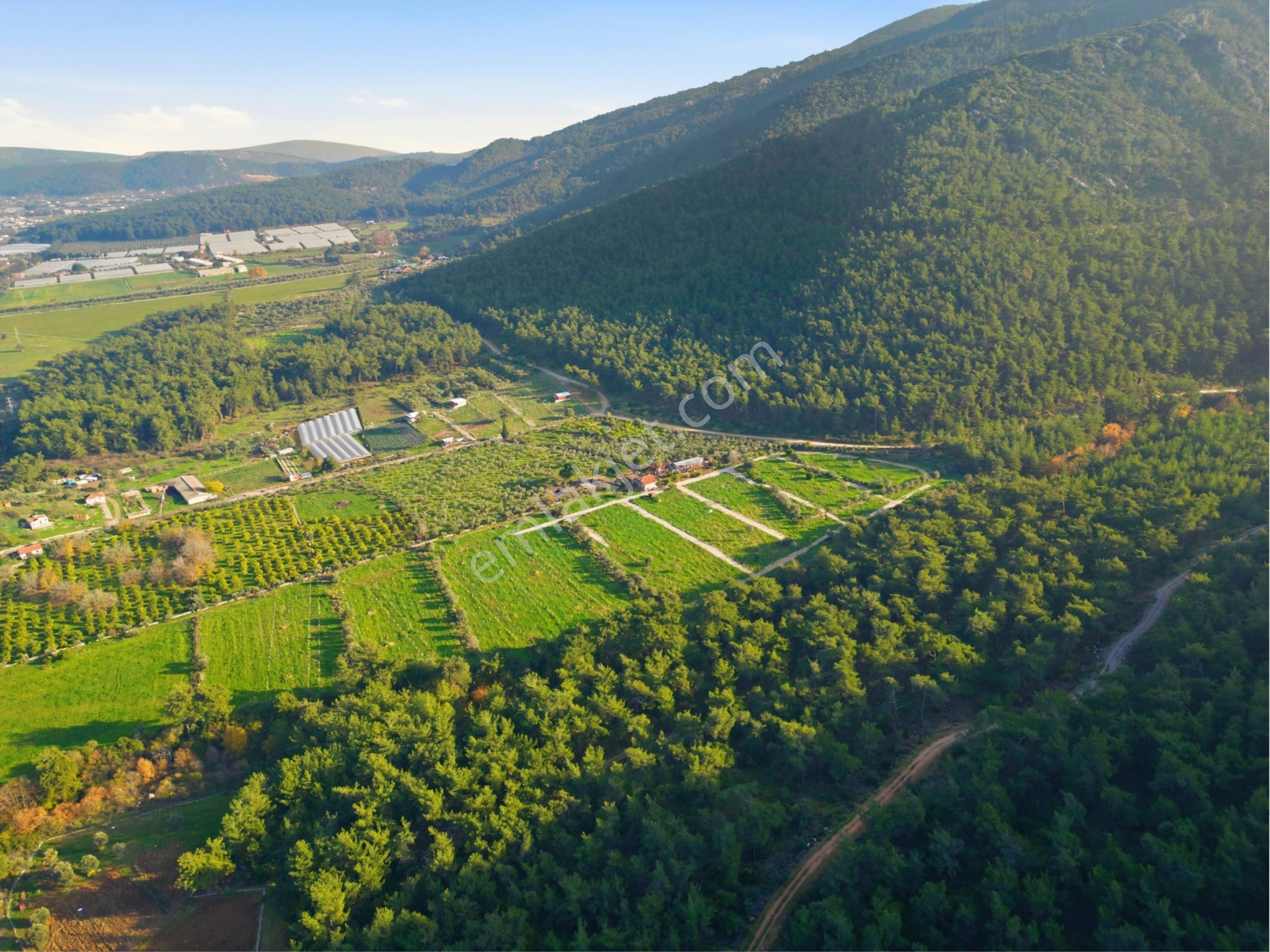 Bal Gayrimenkul I Menderes Değirmendere'de Hayallerinle Tanış ! - Görsel 20