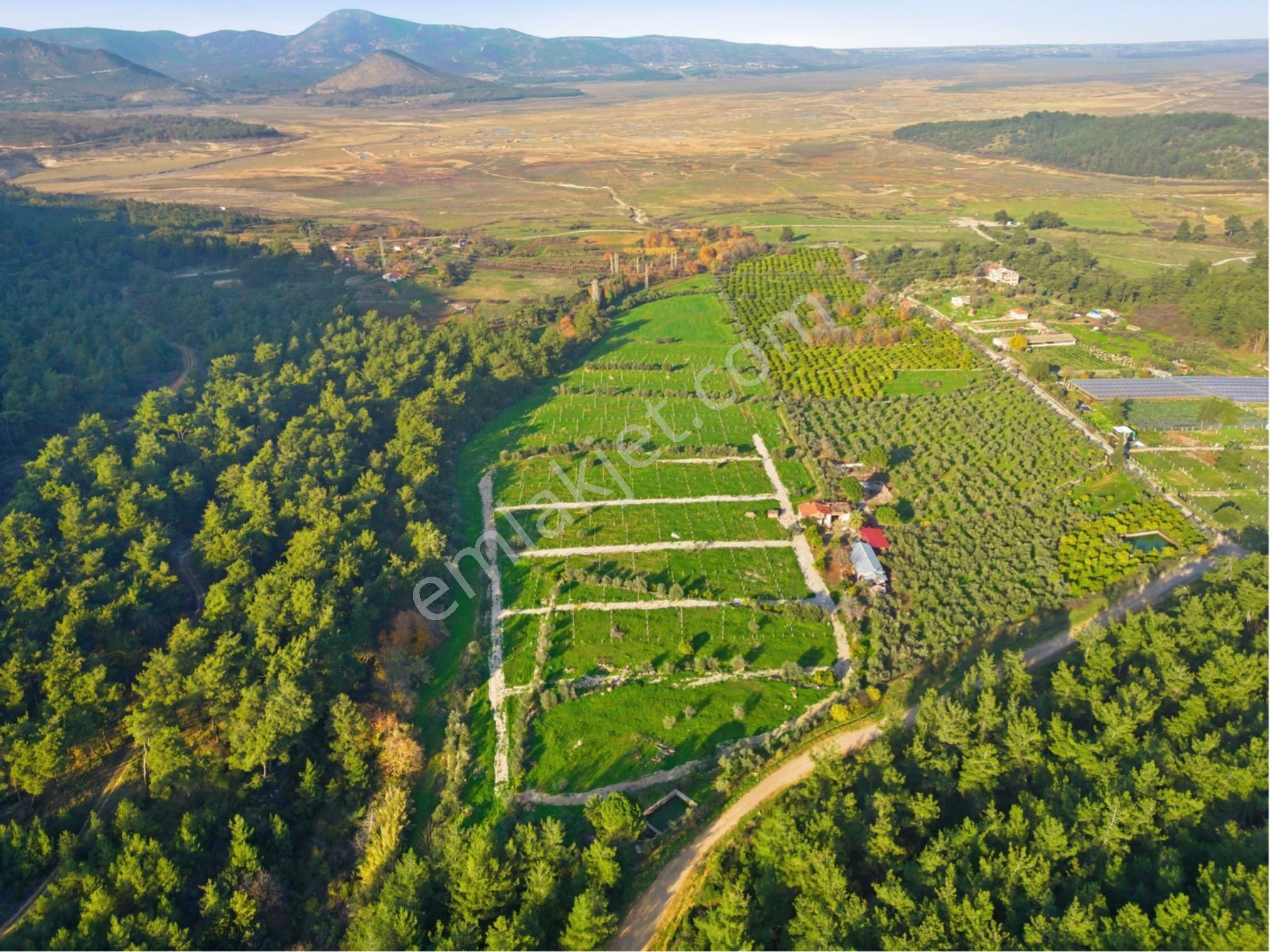 Bal Gayrimenkul I Menderes Değirmendere'de Hayallerinle Tanış ! - Görsel 31