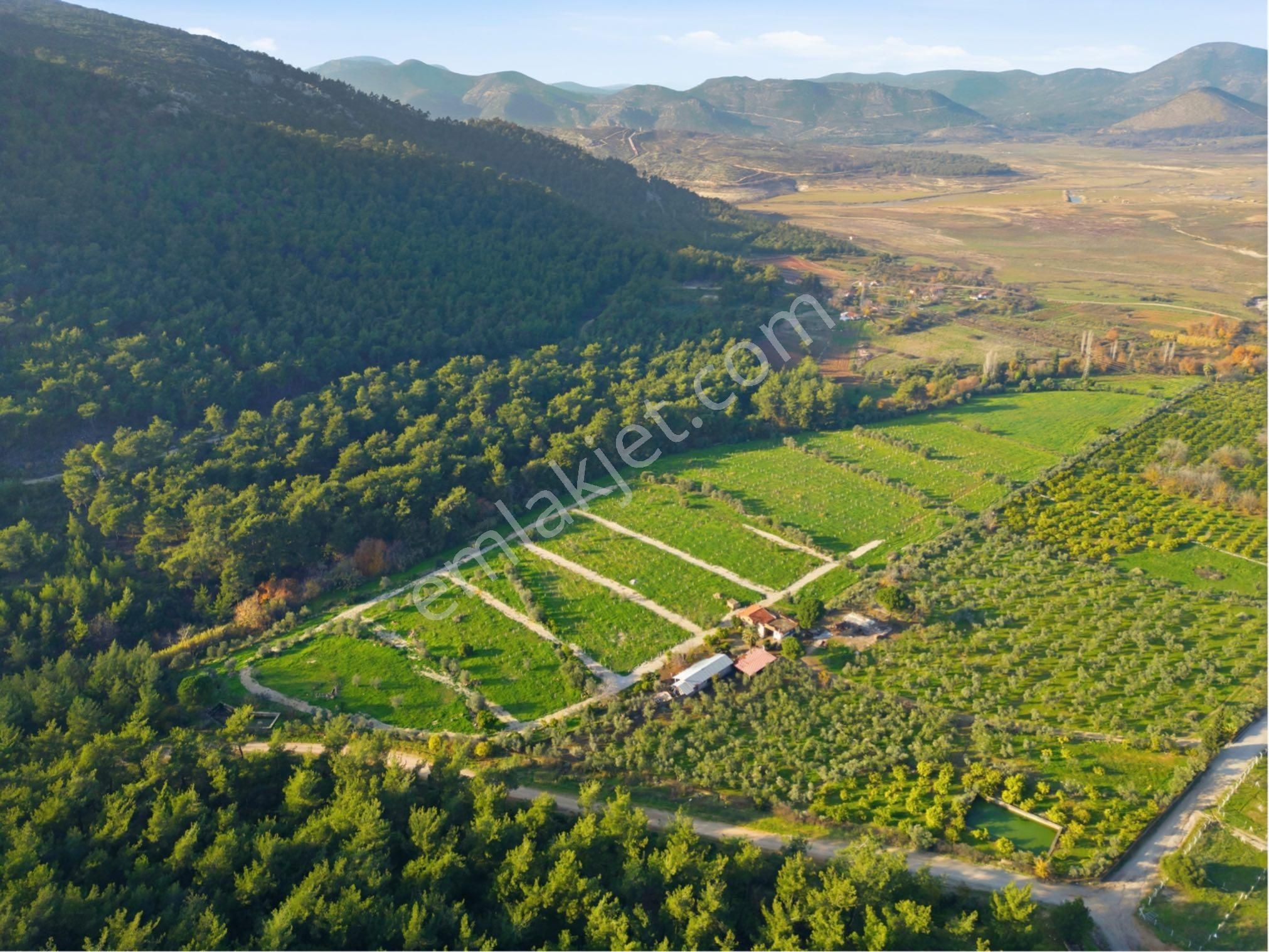 Bal Gayrimenkul I Menderes Değirmendere'de Hayallerinle Tanış ! - Görsel 34