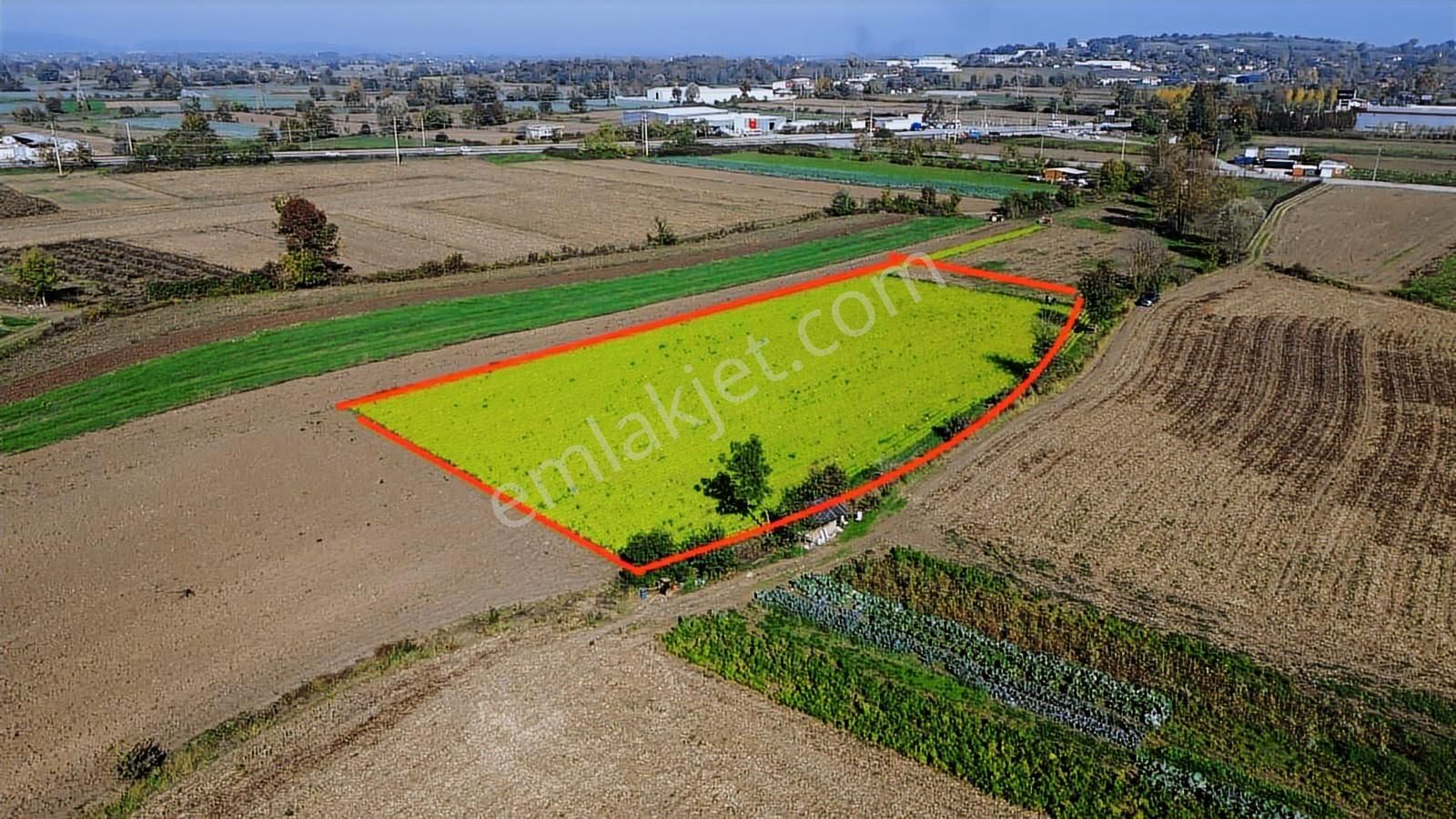 Erenler Çaykışla Mahallesinde Harika Konumda Satılık Tarla - Görsel 2