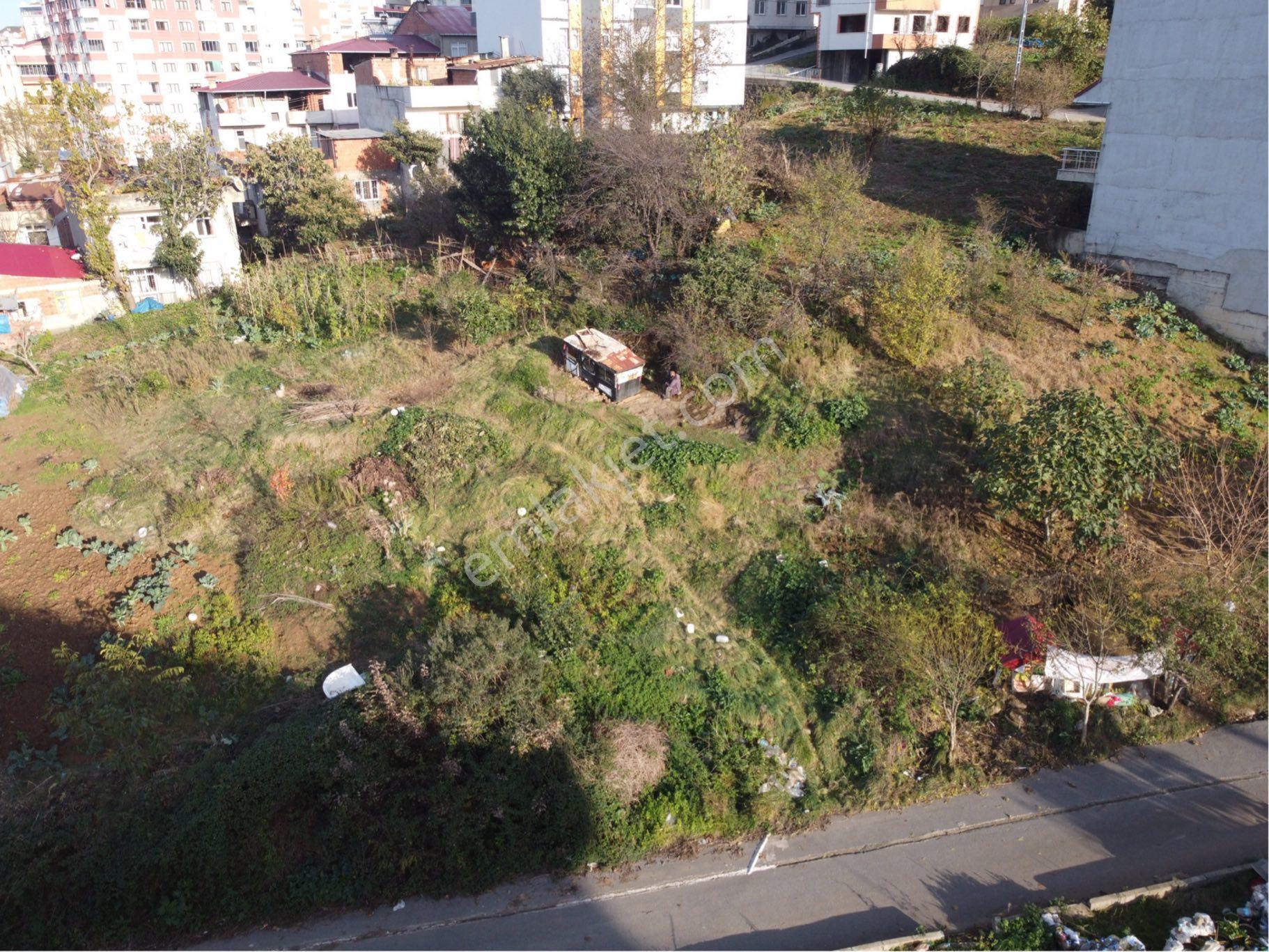 Yalı Gayrimenkul'den 2 Nolu Bostancı Konut İmarlı 317 M2 Arsa - Görsel 3