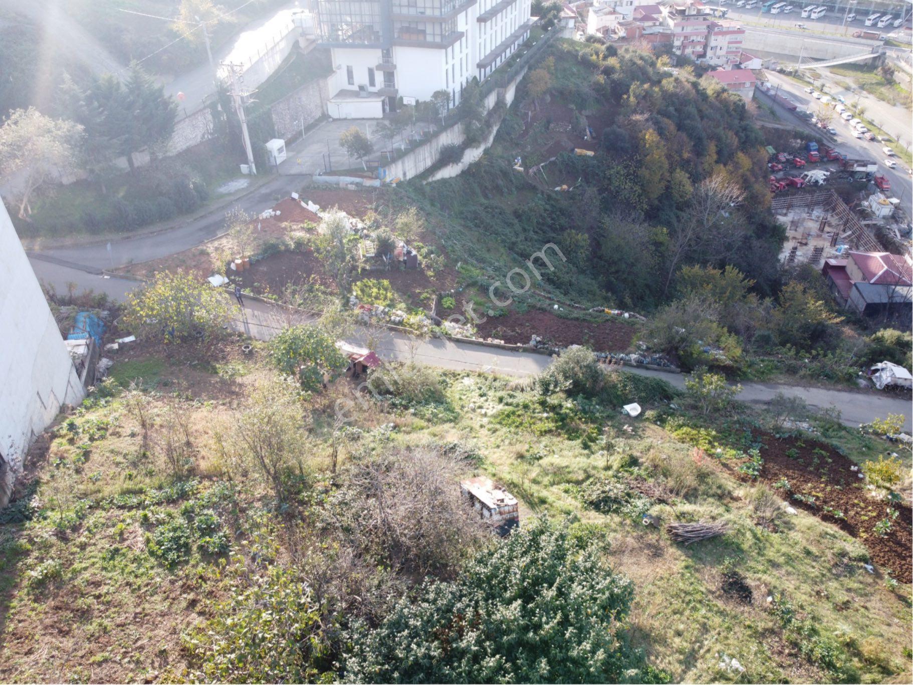 Yalı Gayrimenkul'den 2 Nolu Bostancı Konut İmarlı 317 M2 Arsa - Görsel 7