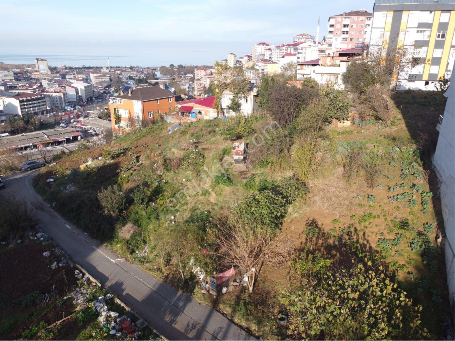 Yalı Gayrimenkul'den 2 Nolu Bostancı Konut İmarlı 317 M2 Arsa - Görsel 9
