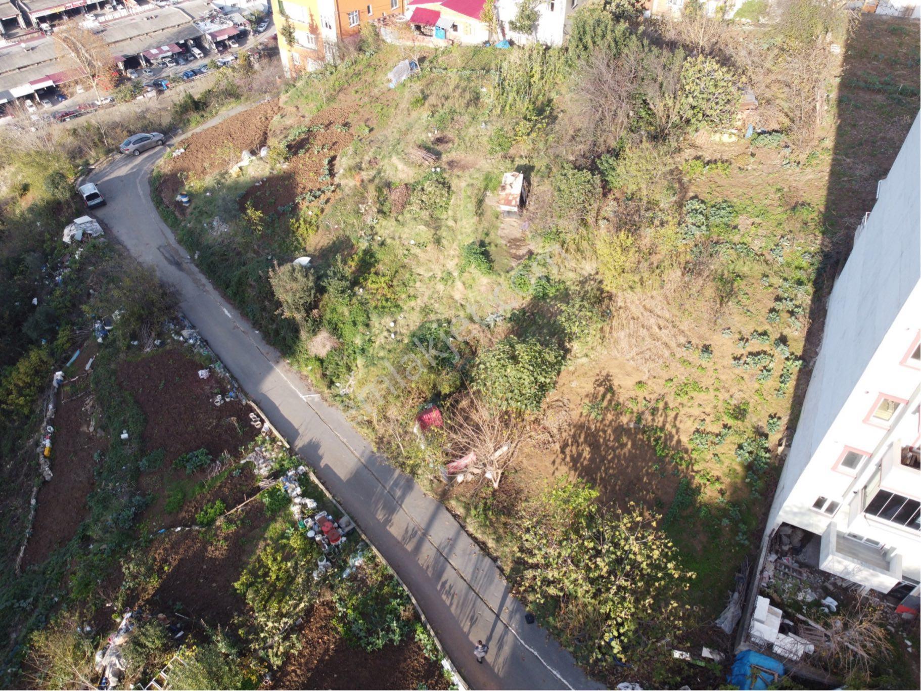 Yalı Gayrimenkul'den 2 Nolu Bostancı Konut İmarlı 317 M2 Arsa - Görsel 8