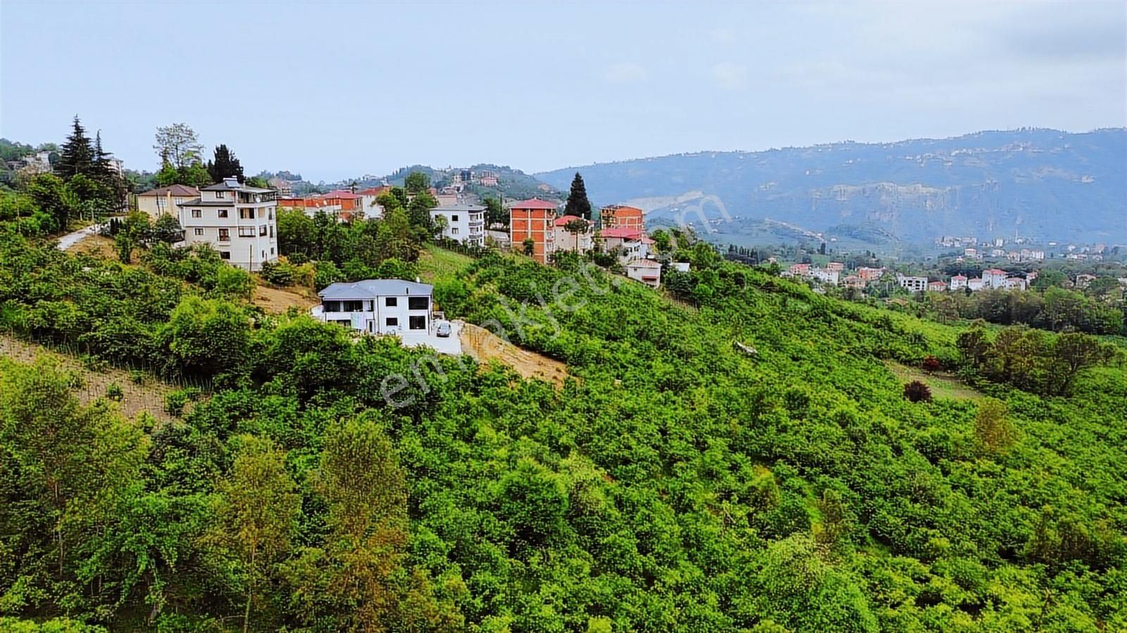 Trabzon Gölçayır Da Satılık 989 M2 Arsa - Görsel 9