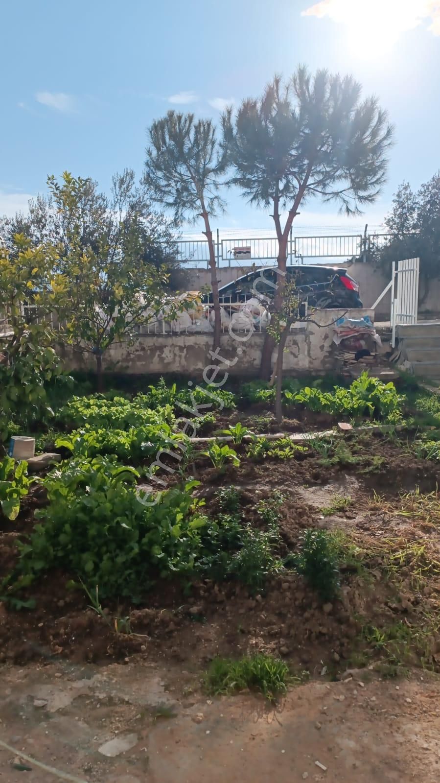 Bornova Atatürk Mah. 3+1 Doğalgazlı Kiralik Bahçe Katı Daire - Görsel 10